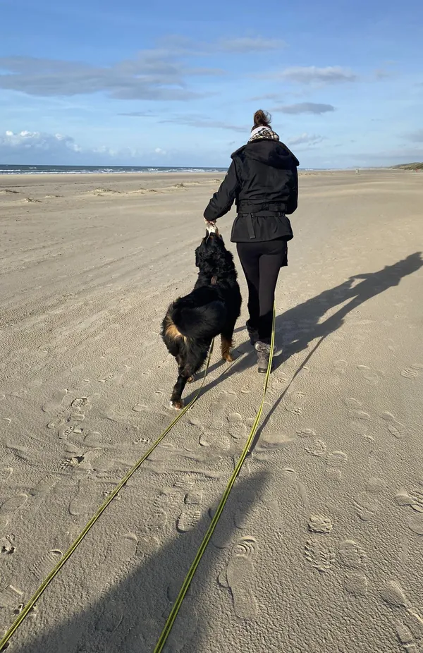 Spaziergang mit Hund an der Leine an einem breiten Sandstrand
